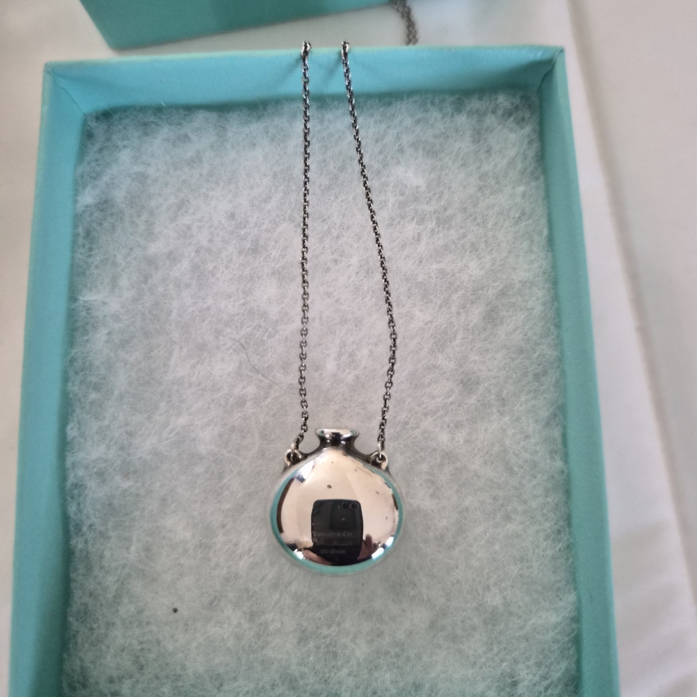 Tiffany & Co. ELSA PERETTI Sterling Silver Bottle Pendant Necklace - Picture 10 of 13